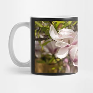 Pink Magnolia Blossoms Mug